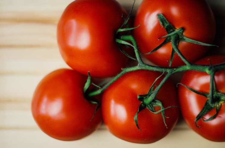 ilustrasi buah tomat/pexels.com