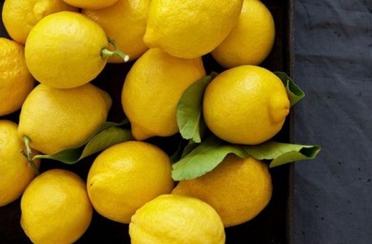 Ilustrasi lemon untuk wajah. (Pinterest)