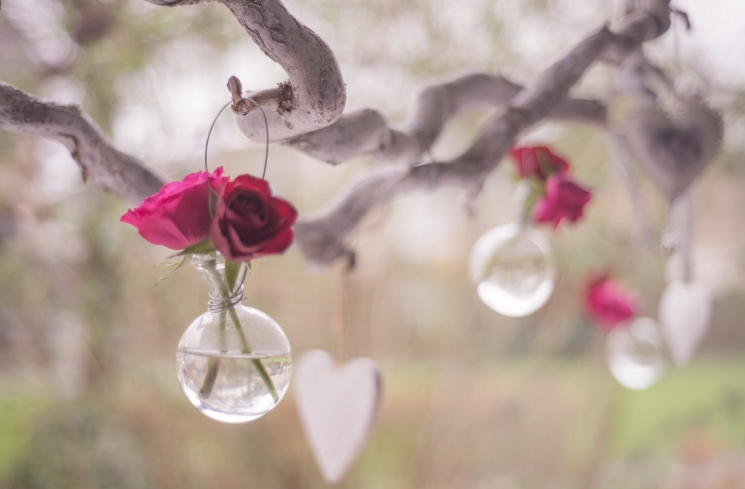 Ini yang Kamu Dapatkan Jika Rutin Gunakan Rosehip Oil pada Wajah