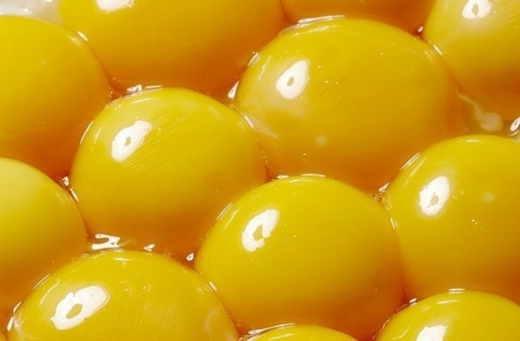 Kuning Telur/pinterest.com