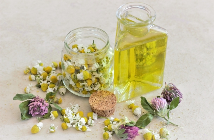 Minyak bunga chamomile / Pixabay.com