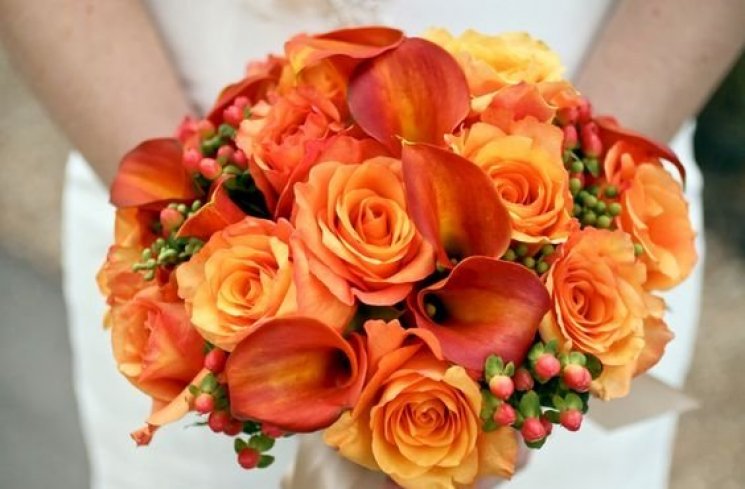 Ilustrasi bunga mawar. (Pinterest)