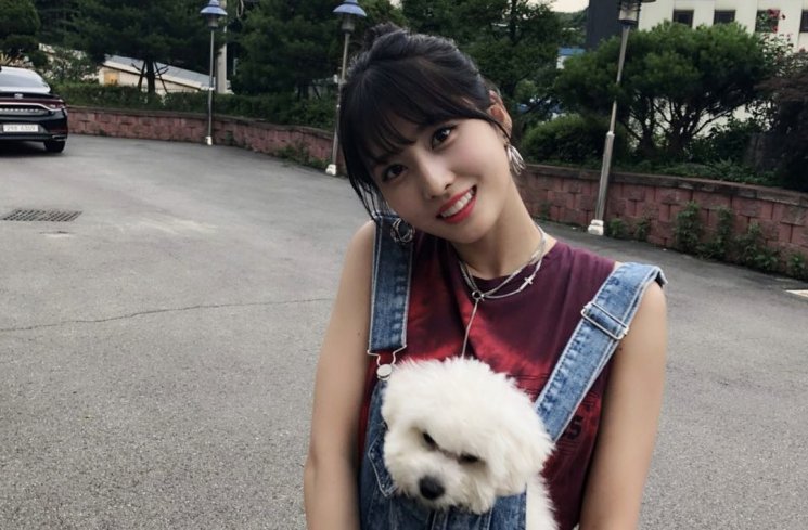 Momo Twice. (Instagram/@twicetagram)