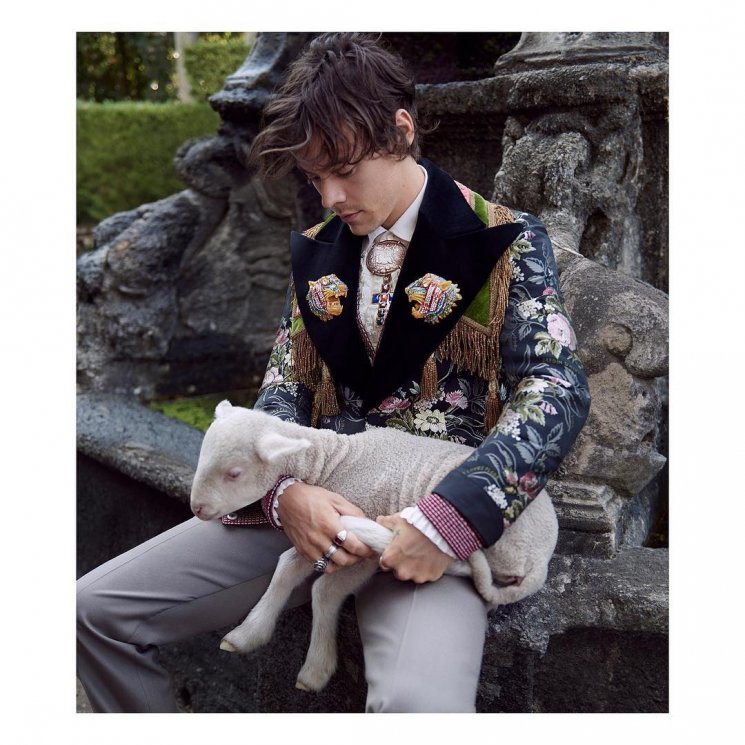 Harry Styles x Gucci. (Instagram/@gucci)