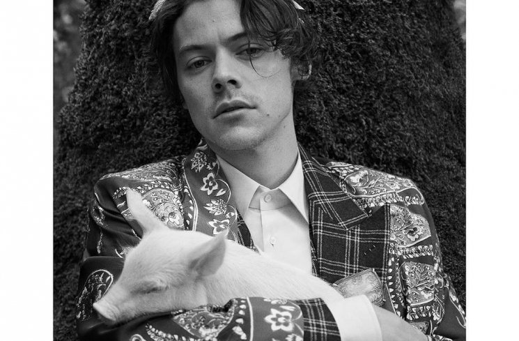 Harry Styles x Gucci. (Instagram/@gucci)