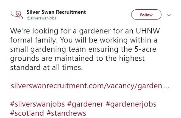 Informasi lowongan kerja sebagai asisten untuk mahasiswi super kaya di Skotlandia. (Twitter)