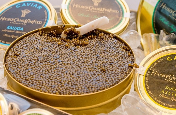 Ilustrasi kaviar. (PIxabay)