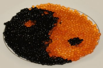 Wow, Barron Trump Gunakan Kaviar sebagai Pelembap Sejak Bayi