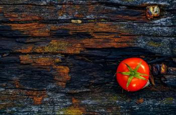 Beberapa Arti Mimpi Tomat, Ada yang Berkaitan dengan Urusan Jodoh