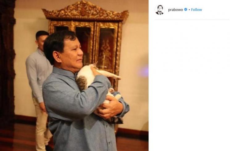Kucing Prabowo bernama Bobby. (Instagram/@prabowo)