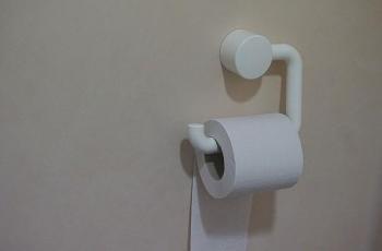 Menutup Dudukan Toilet dengan Tisu Sebelum Dipakai? Bahaya!