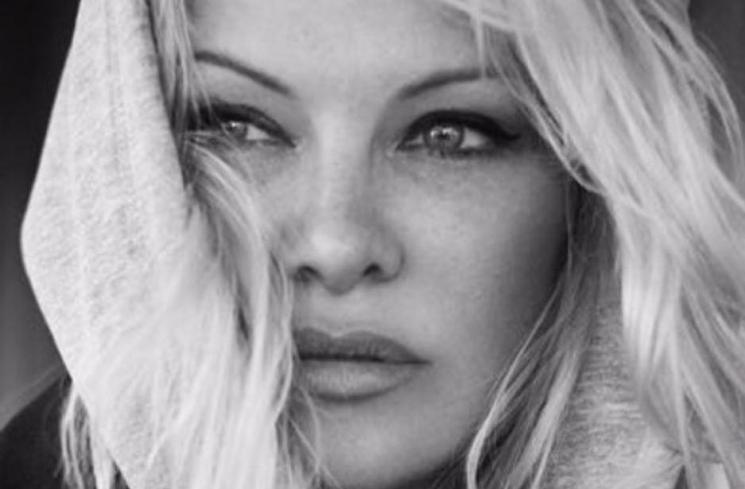 Kekasih Pamela Anderson Selingkuh, Begini Curhat Pilunya