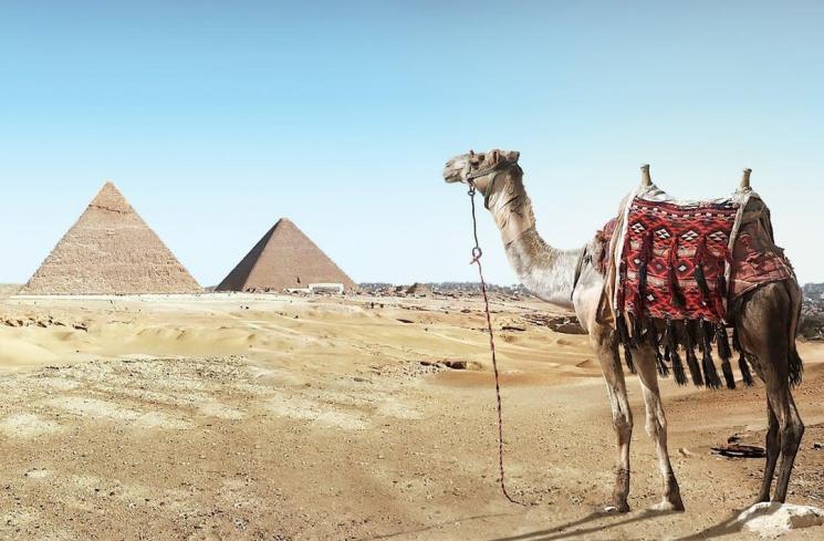 Ilustrasi Piramida Mesir. (Pexels/Simon Matzinger)
