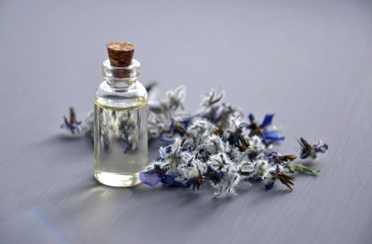 Borage seed oil termasuk jenis face oil yang bermanfaat untuk perawatan kecantikan. (Pexels/Mareefe)