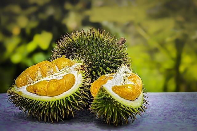 Ilustrasi durian. (Pixabay)