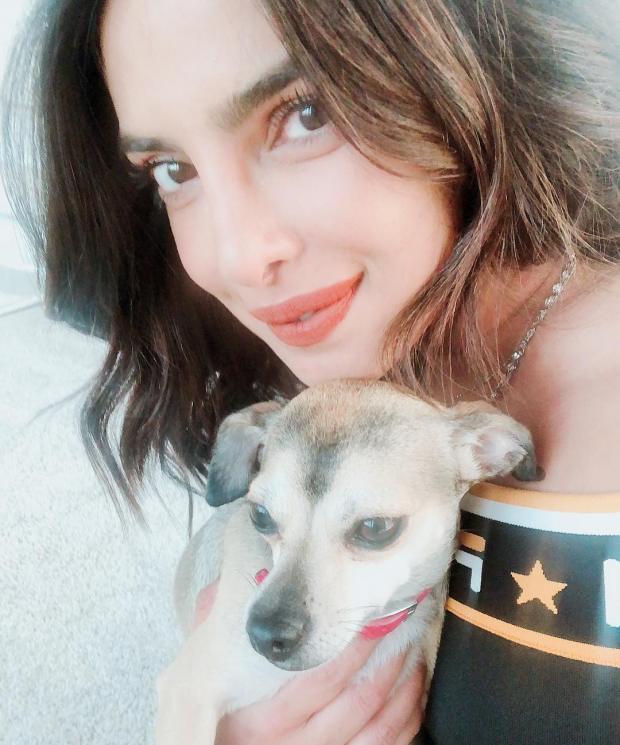 Anjing Priyanka Chopra, Diana Chopra. (Instagram/@priyankachopra)