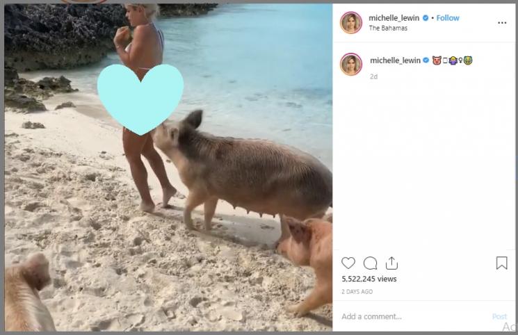 Pakai bikini dipantai lalu diseruduk babi liar. (Instagram/@michelle_lewin)