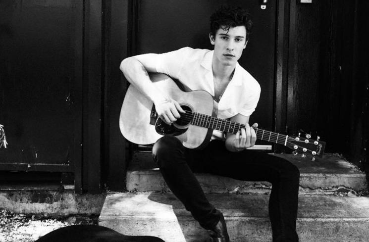 Shawn Mendes. (Instagram/@shawnmendes)