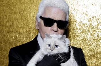 Choupette, Kucing kesayangan Karl Lagerfeld Eksis Jadi Model Buku Fotografi