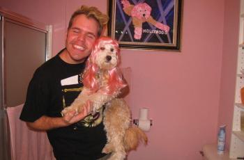 Tuding Anak Sultan Brunei Gay, Inilah Sosok Perez Hilton