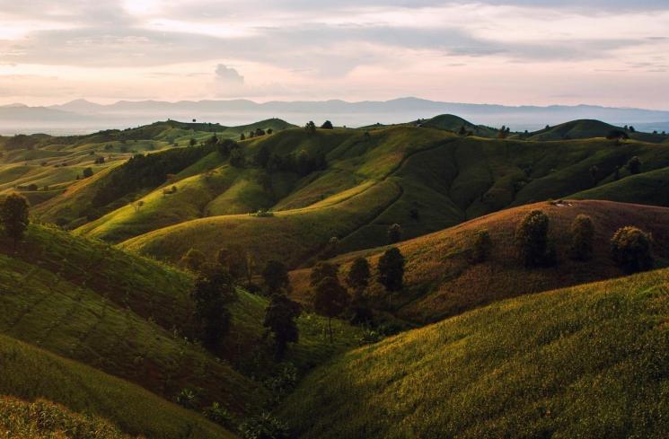 Pemandangan bukit. (Unsplash/Waranont (Joe))