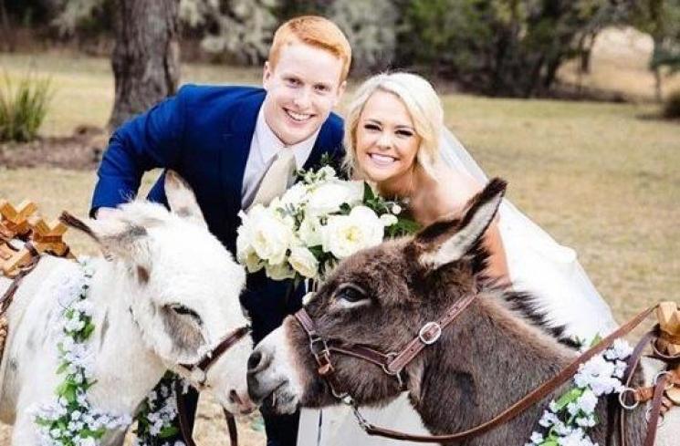 Rada Nyentrik tapi Lagi Tren, Ada Keledai di Pesta Pernikahan