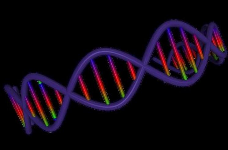 Ilustrasi sistem DNA. (Pixabay/raman bhardwaj)