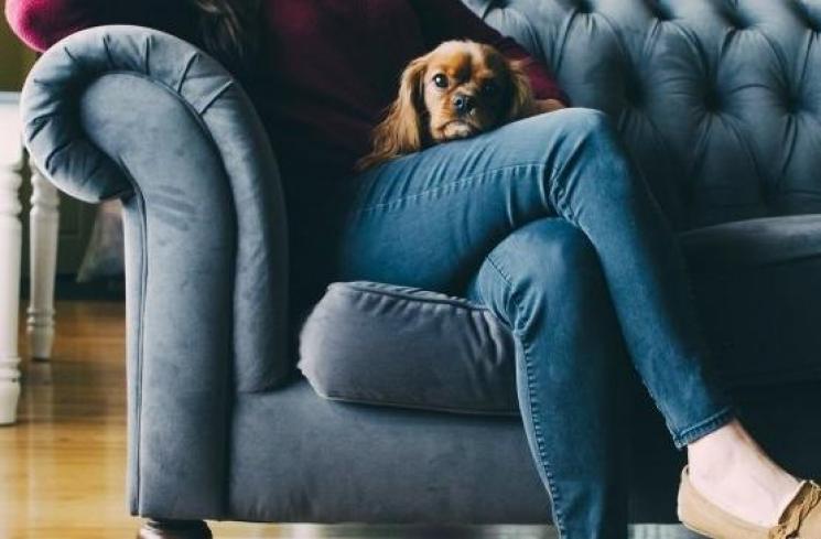 Bersama anjing kesayangan. (Shutterstock)