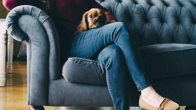 Bersama anjing kesayangan. (Shutterstock)