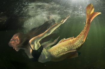 Cerita Wanita Ingin Jadi Putri Duyung, Habis Rp100 Juta demi Beli Ekor Ikan
