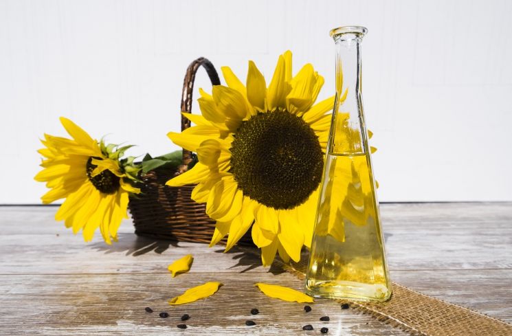 4 Manfaat Bunga Matahari, Baik untuk Imunitas dan Kesehatan Jantung