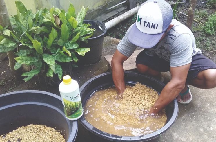 Kembangkan beras fortifikasi, M-Tani hadirkan solusi baru dalam perbaikan gizi masyarakat Indonesia. (Istimewa)
