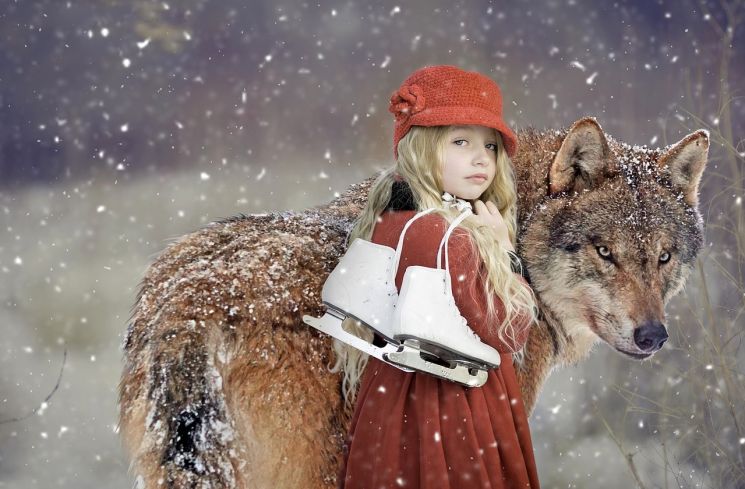 Ilustrasi serigala dan gadis kecil. (Pixabay/Sarah Richter)
