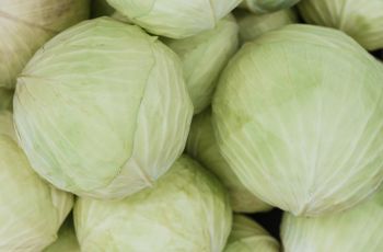 5 Manfaat Sayur Kubis, Bahan Makanan Murah yang Kaya Nutrisi