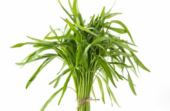 Cara Menyimpan Sayur di Kulkas, Segarnya Lebih Tahan Lama