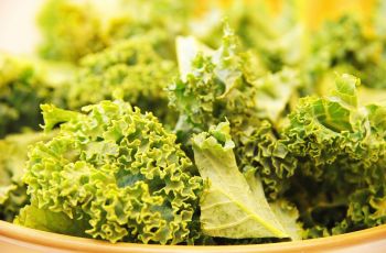 Bukan Cuma Faktor Kesehatan, Ini Alasan Banyak Orang Jadi Vegetarian