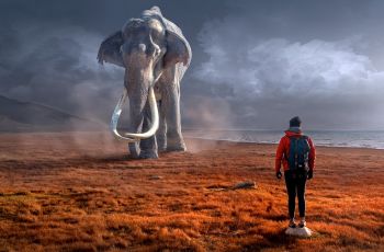 6 Arti Mimpi Gajah, Saatnya Menghadapi Rasa Takut di Dunia Nyata