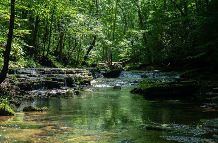 5 Arti Mimpi Anak Sungai, Bisa Jadi Pertanda Bakal Terlibat Masalah Hukum