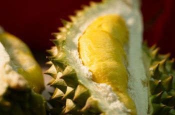 Syahrini Makan Durian Omakase, Rasanya Bikin Bumil Ketagihan