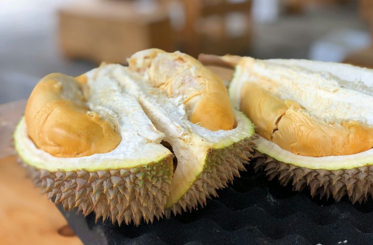 Buah durian (Unsplash/Jim Teo)