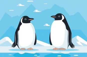 Pebbling, Bahasa Cinta ala Penguin yang Menggemaskan
