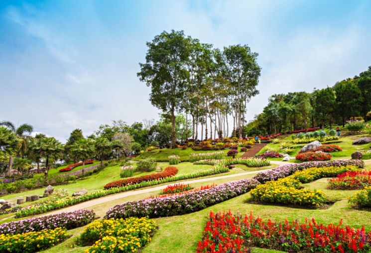 Taman Mae Fah Luang. (Canva)