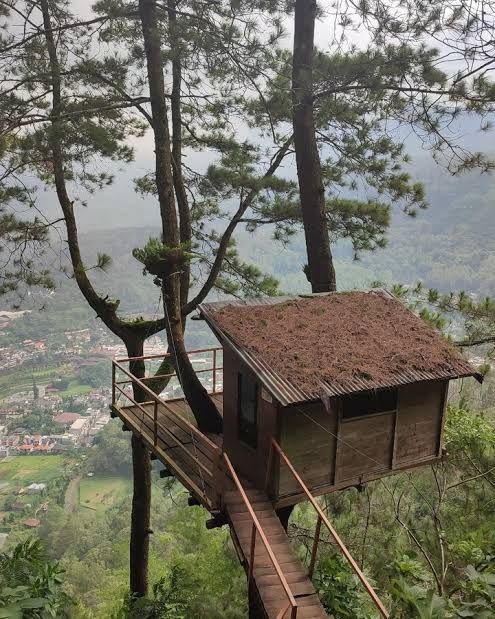 Omah Kayu Batu (instagram.com/omahkayubatu)