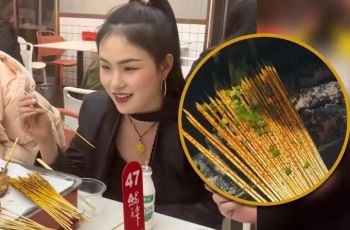 Viral Tusuk Sate Tanpa Daging, Menu Diet yang Bikin Sedih: Ini Tips Makan Sehat yang Lebih Realistis!