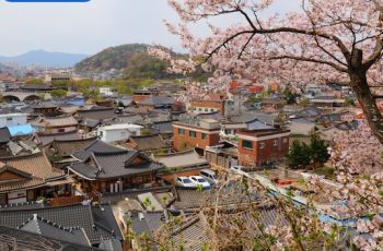 Makan Enak, Jalan Terus! Itinerary 6 Hari 4 Malam Jelajahi Korea Selatan ala Pecinta Kuliner