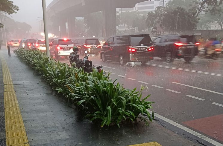 Potret Hujan di Kota Jakarta (Unsplash/Anang Ma'ruf)