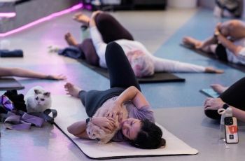 Gym + Main Bareng Kucing, Cara Unik Turunkan Stres Usai Olahraga