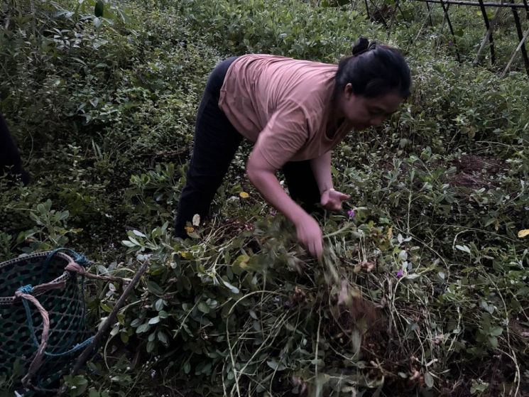Belajar Menjaga Hutan dari Perempuan Ansok. (dok. ist)