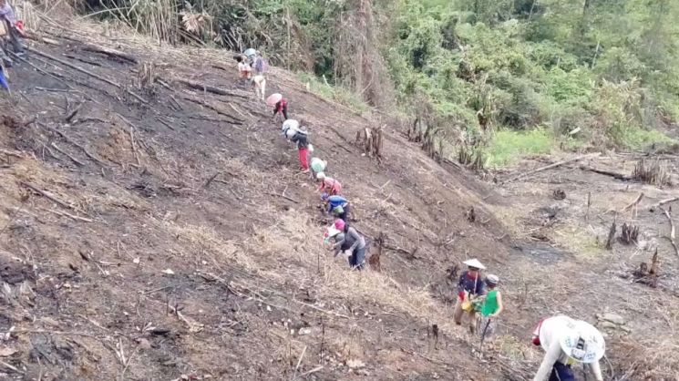Belajar Menjaga Hutan dari Perempuan Ansok. (dok. ist)